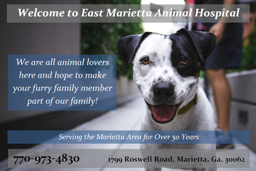 East Marietta Animal Hospital - Home